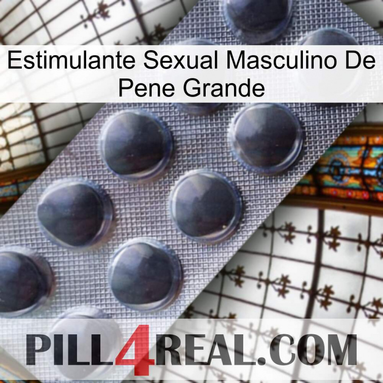 Big Penis Male Sexual Stimulant 30